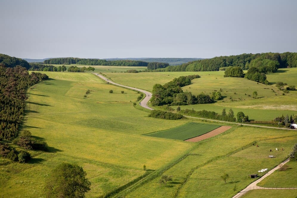 LAND SEARCH IN PORTUGAL INCREASES
