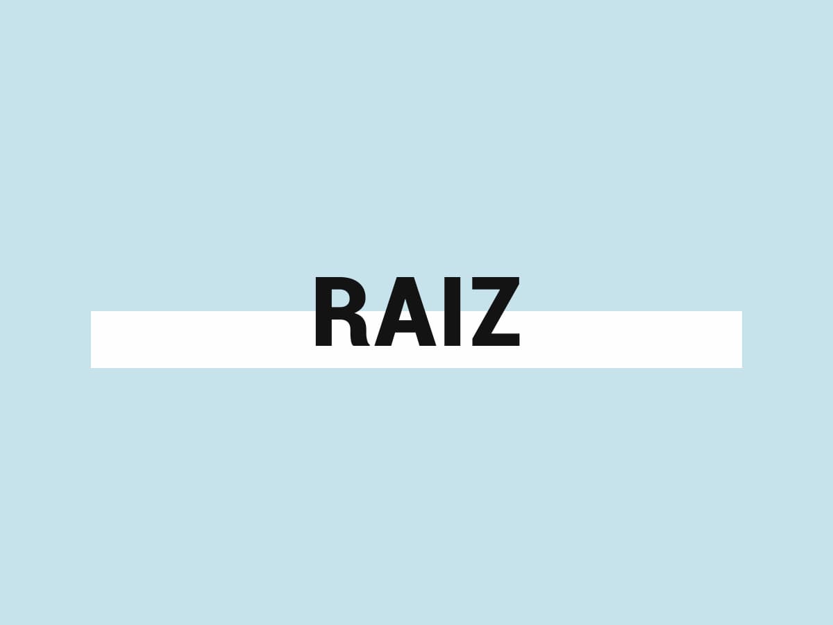 RAÍZ - ¿QUÉ ES?