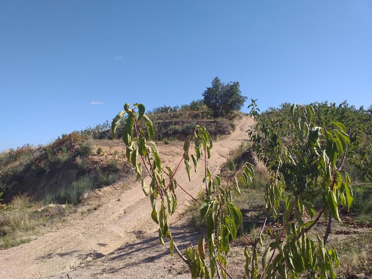 Terreno c/ +5.000ha · Covilhã — imagen 2