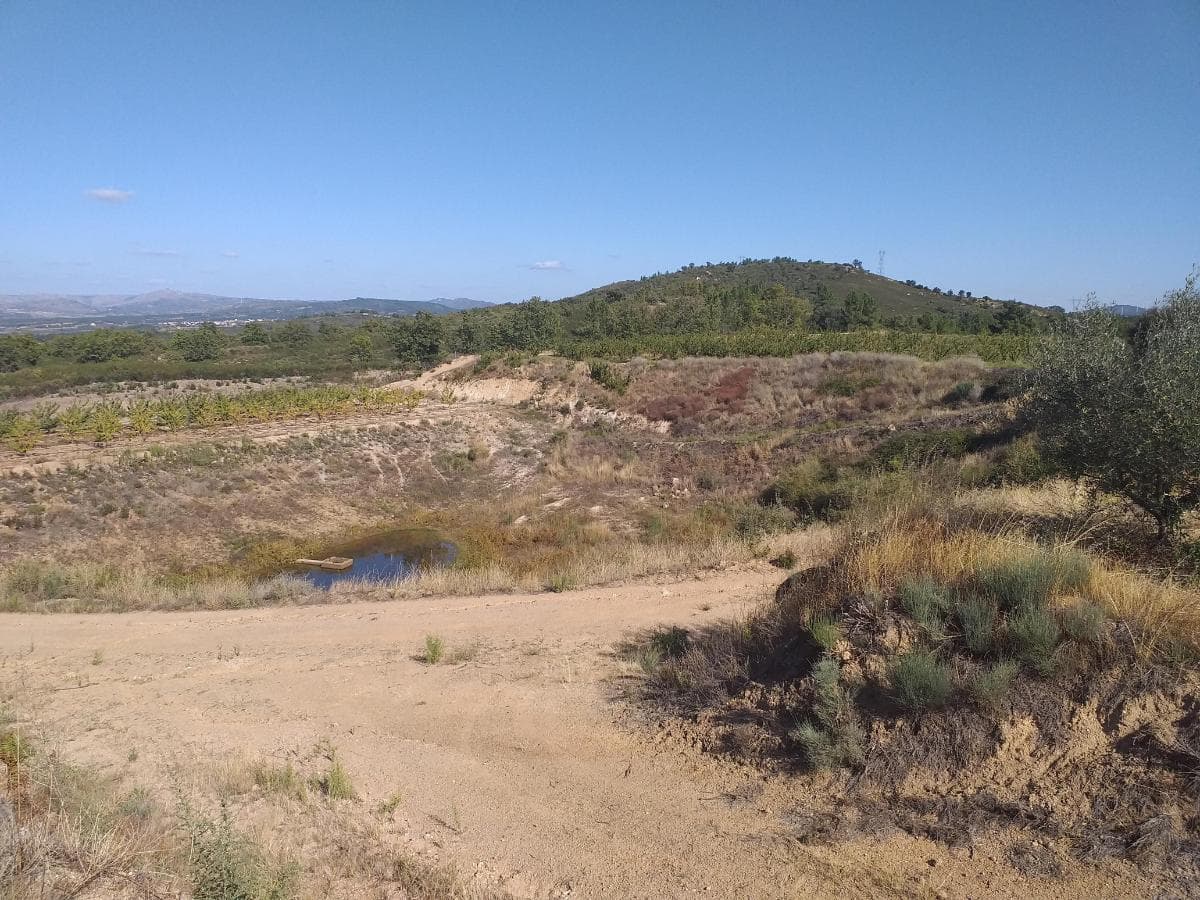 Terreno c/ +5.000ha · Covilhã — imagen 5