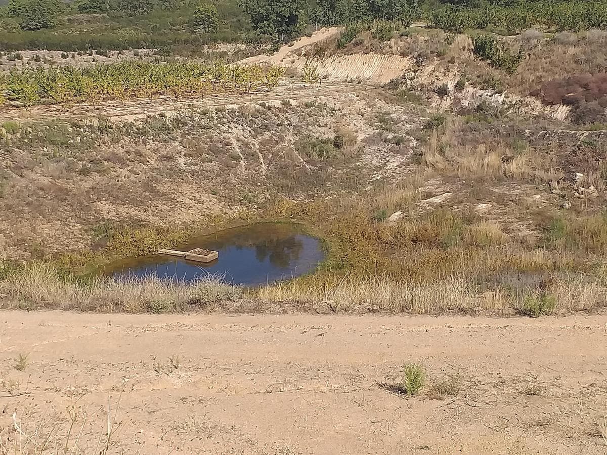 Terreno c/ +5.000ha · Covilhã — imagen 6
