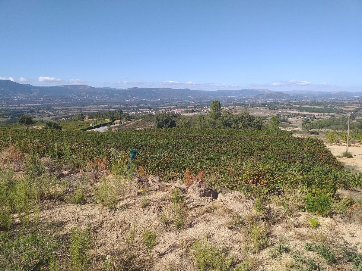 Terreno c/ +5.000ha · Covilhã — imagen 8