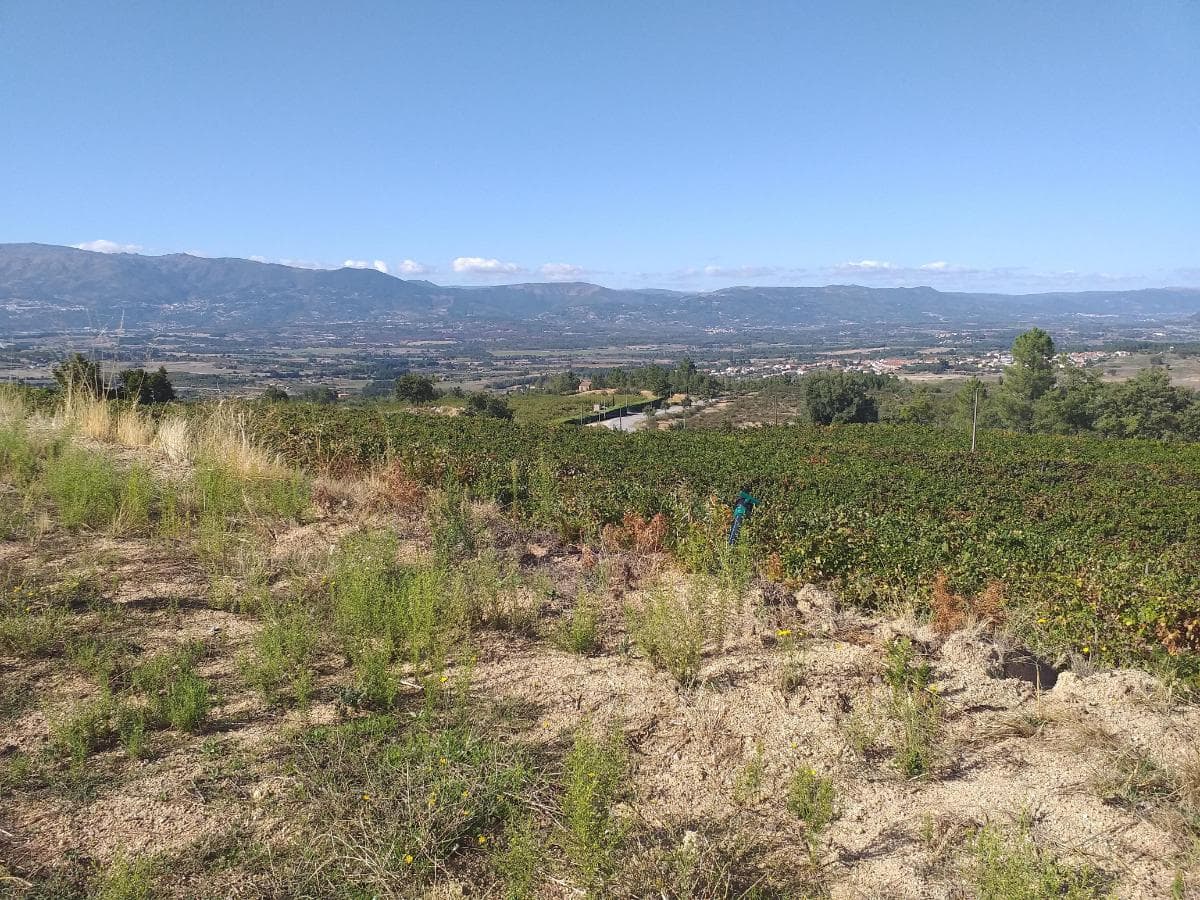 Terreno c/ +5.000ha · Covilhã — imagen 9