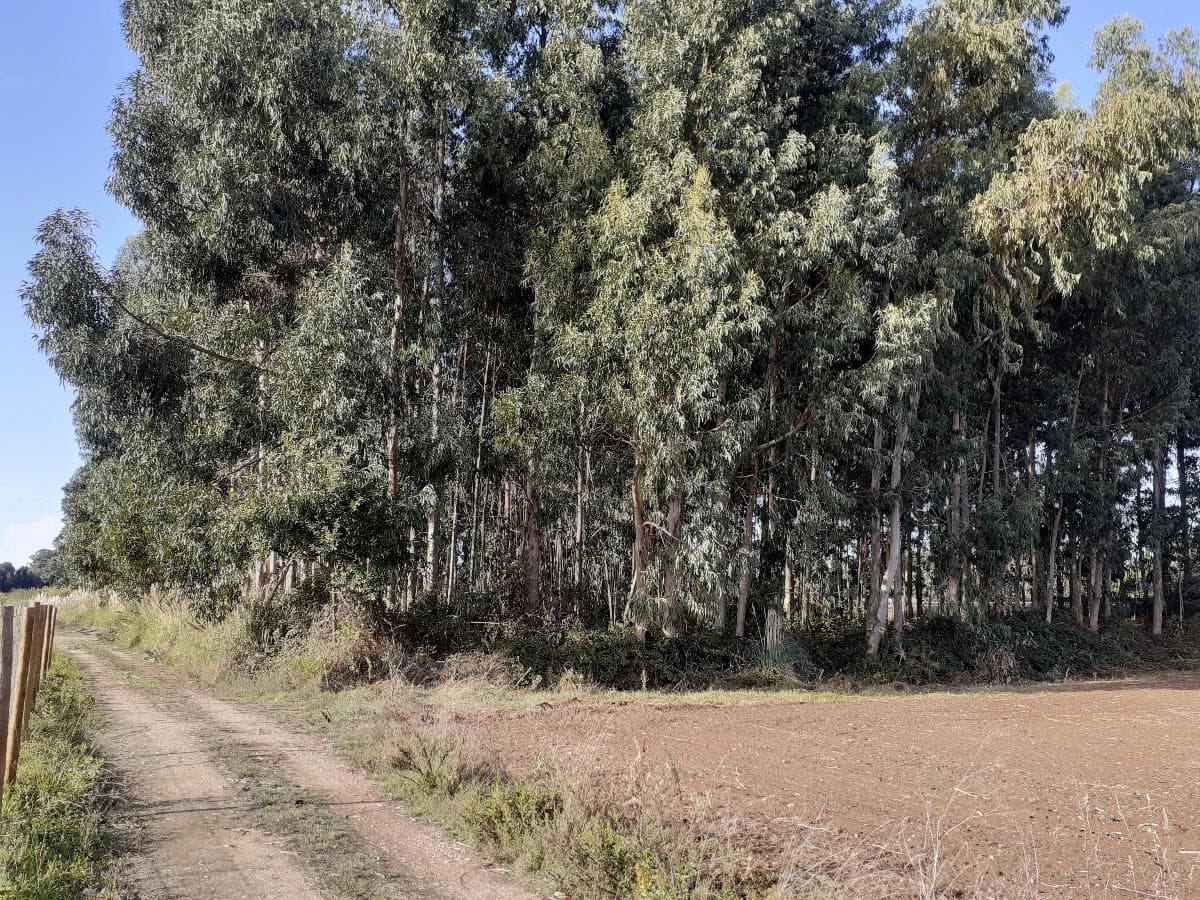 Terreno · Aveiro — imagen 1