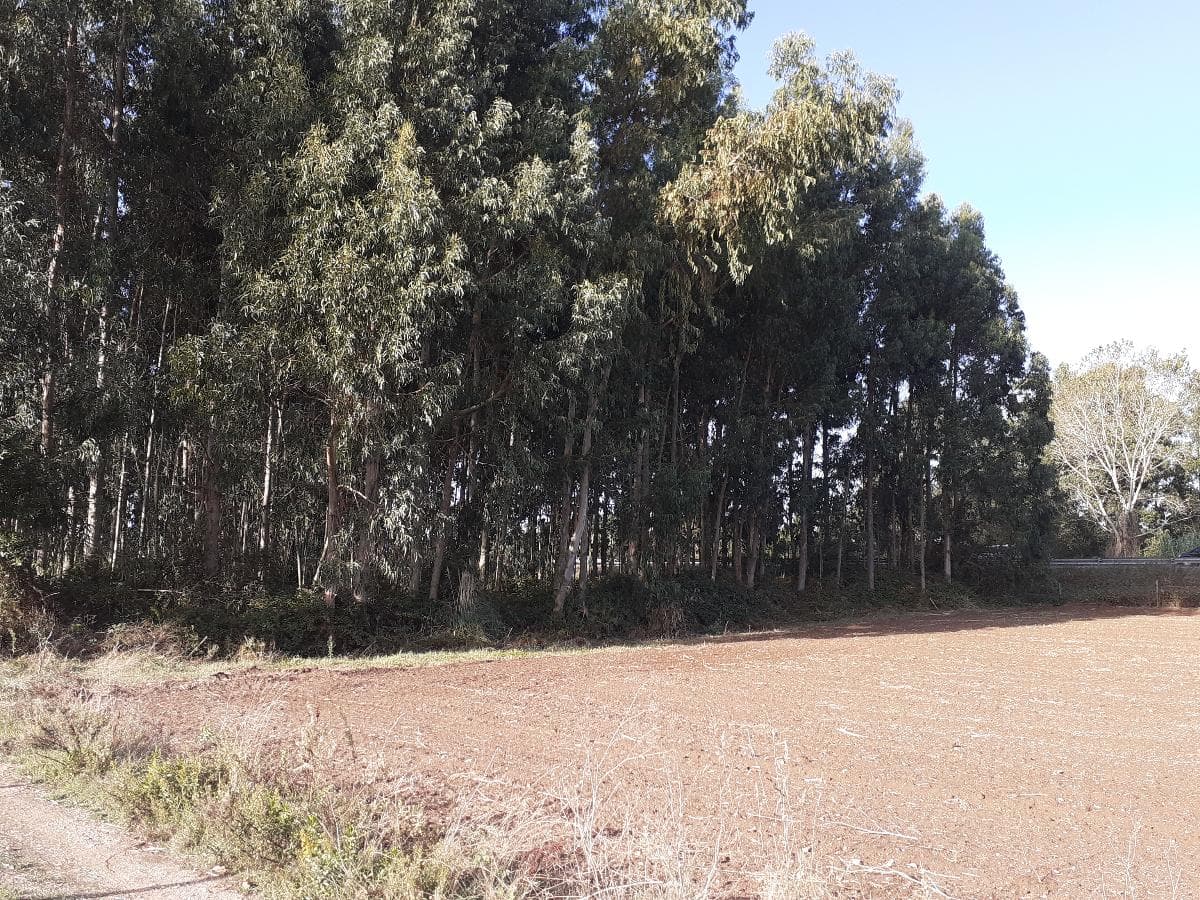 Terreno · Aveiro — imagen 5