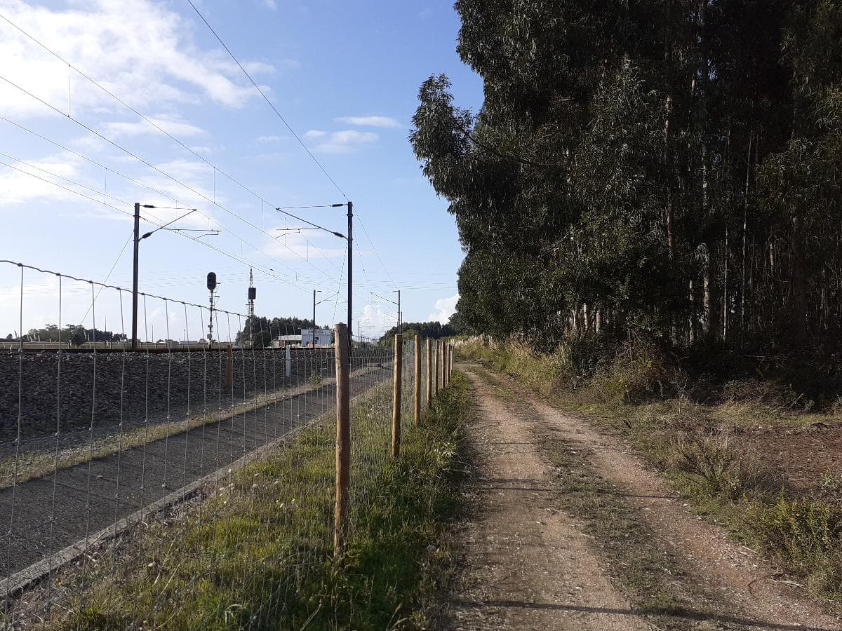 Terreno · Aveiro — imagen 3