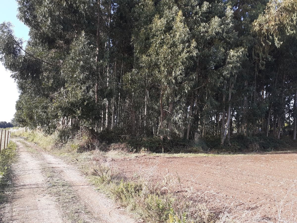 Terreno · Aveiro — imagen 4