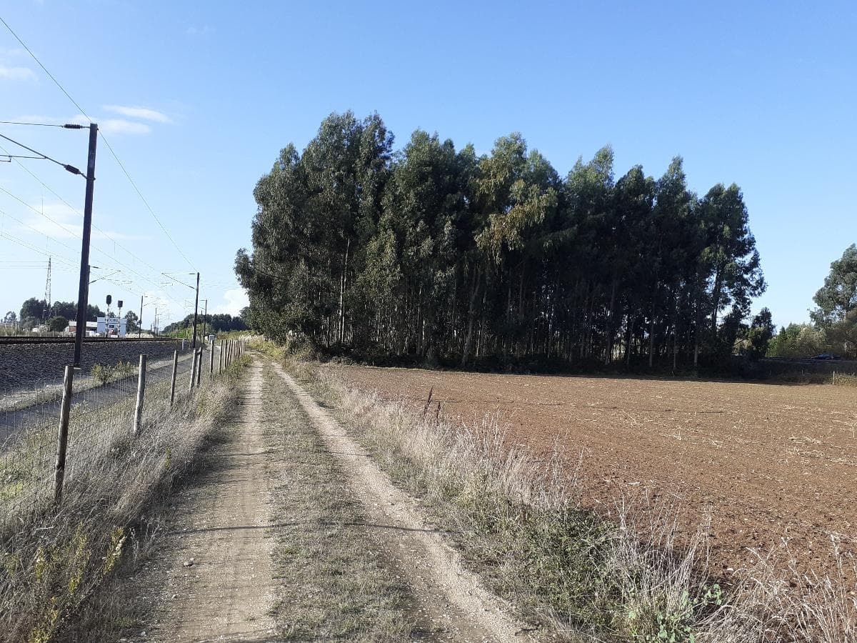 Terreno · Aveiro — imagen 2