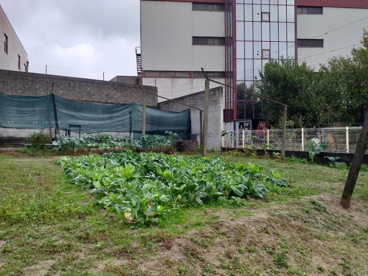 Quinhão Hereditário de Moradia V4 + Terreno · Amarante — imagen 30