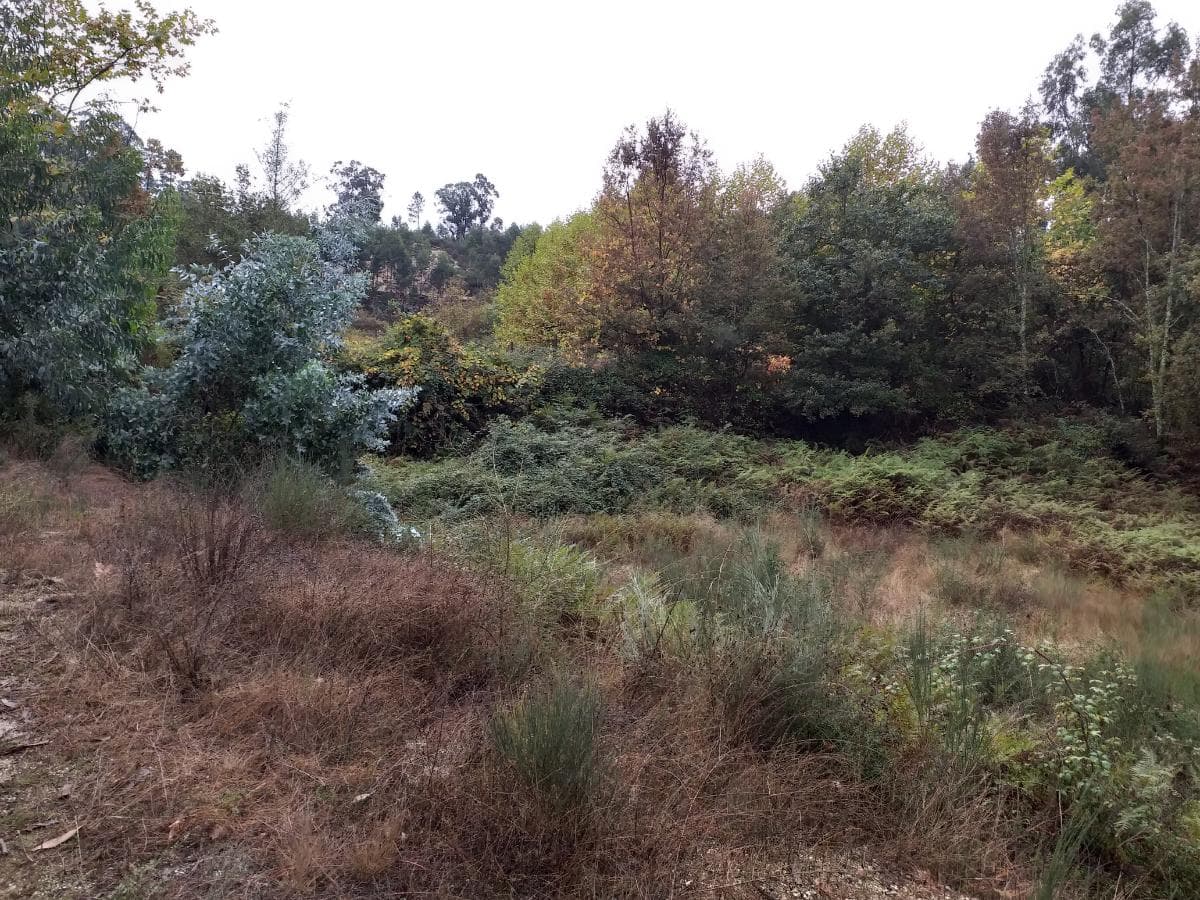 Quinhão Hereditário de Moradia V4 + Terreno · Amarante — imagen 4
