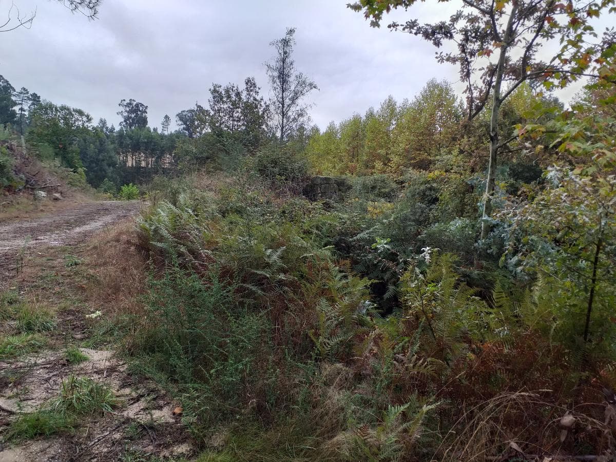 Quinhão Hereditário de Moradia V4 + Terreno · Amarante — imagen 6