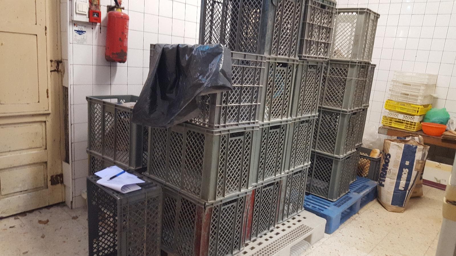 Trespasse Estabelecimento Comercial + Equipamento Panificação — imagem 40