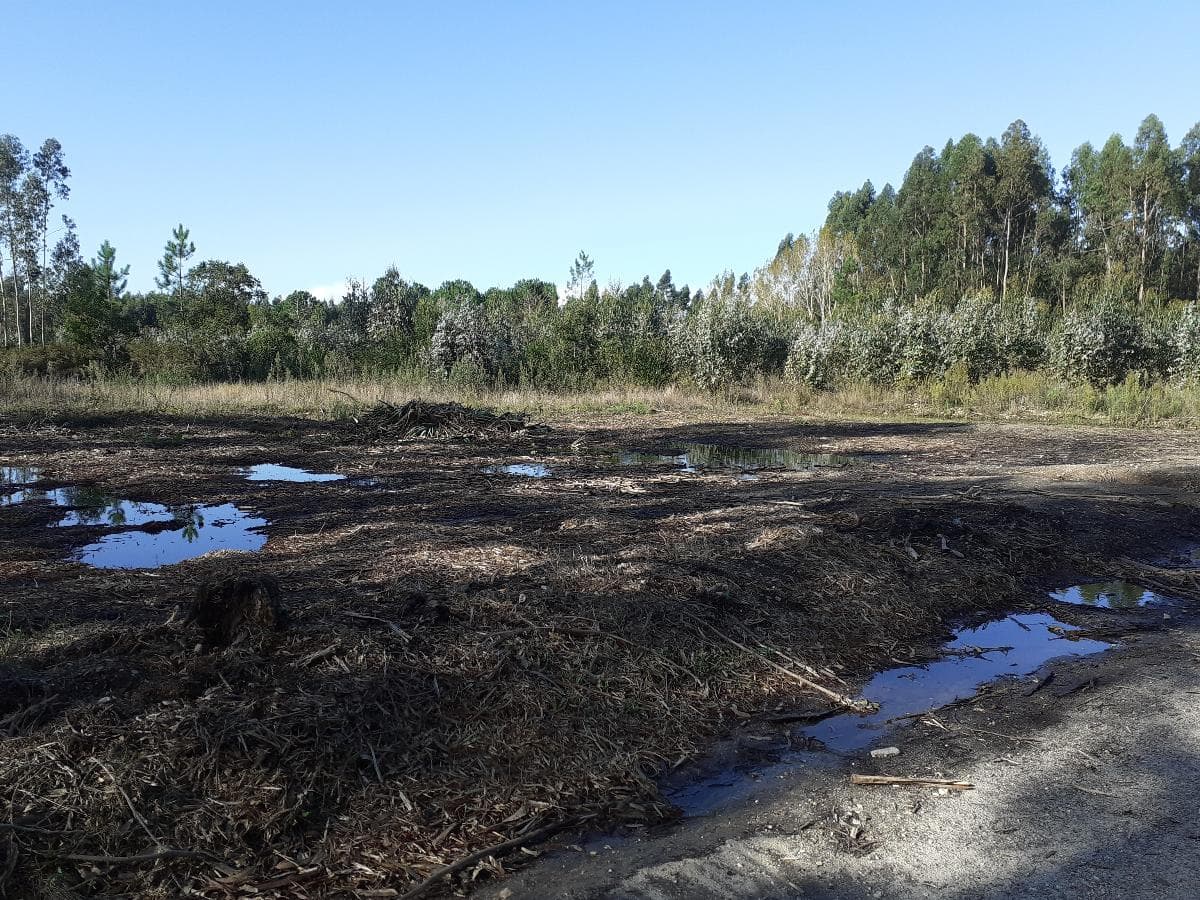 1/4 Terreno · + 5 hectares · Aveiro