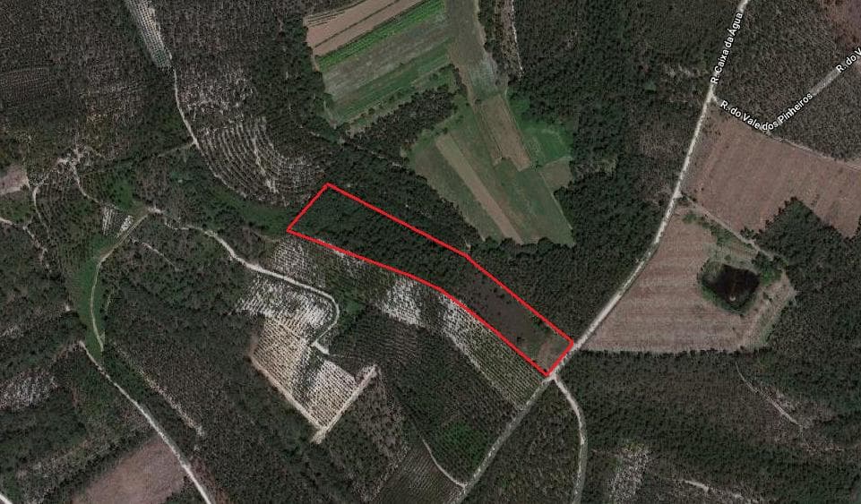 1/4 Terreno · + 5 hectares · Aveiro — imagen 4