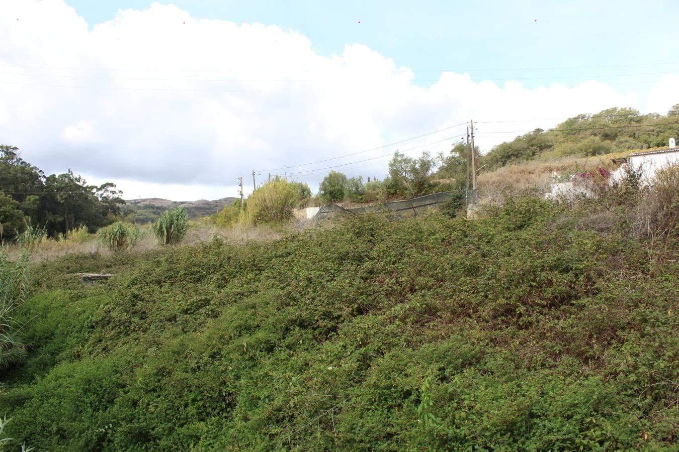 Terreno c/potencialidade construtiva · Sobral de Monte Agraço — imagem 4