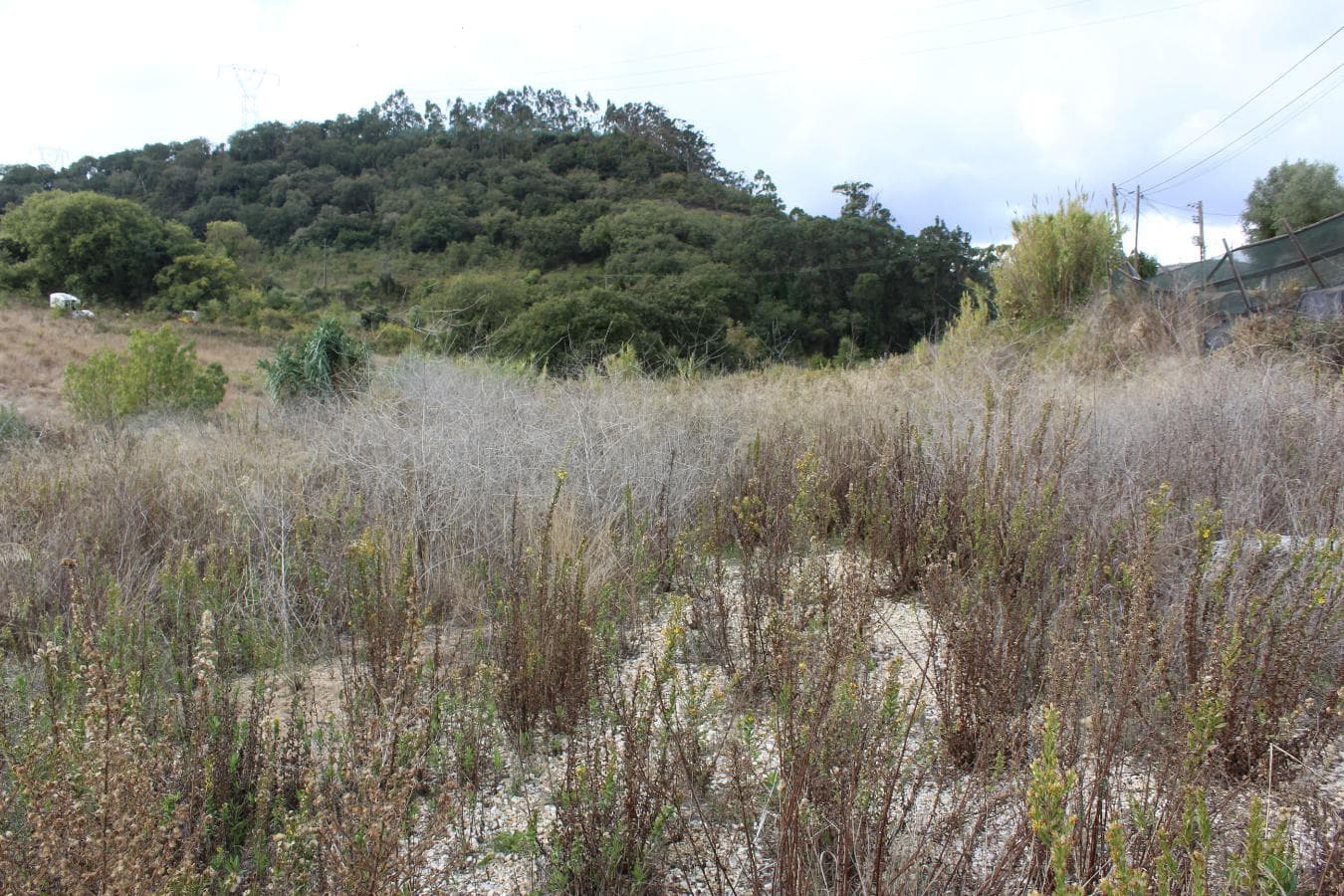 Terreno c/potencialidade construtiva · Sobral de Monte Agraço — imagem 5