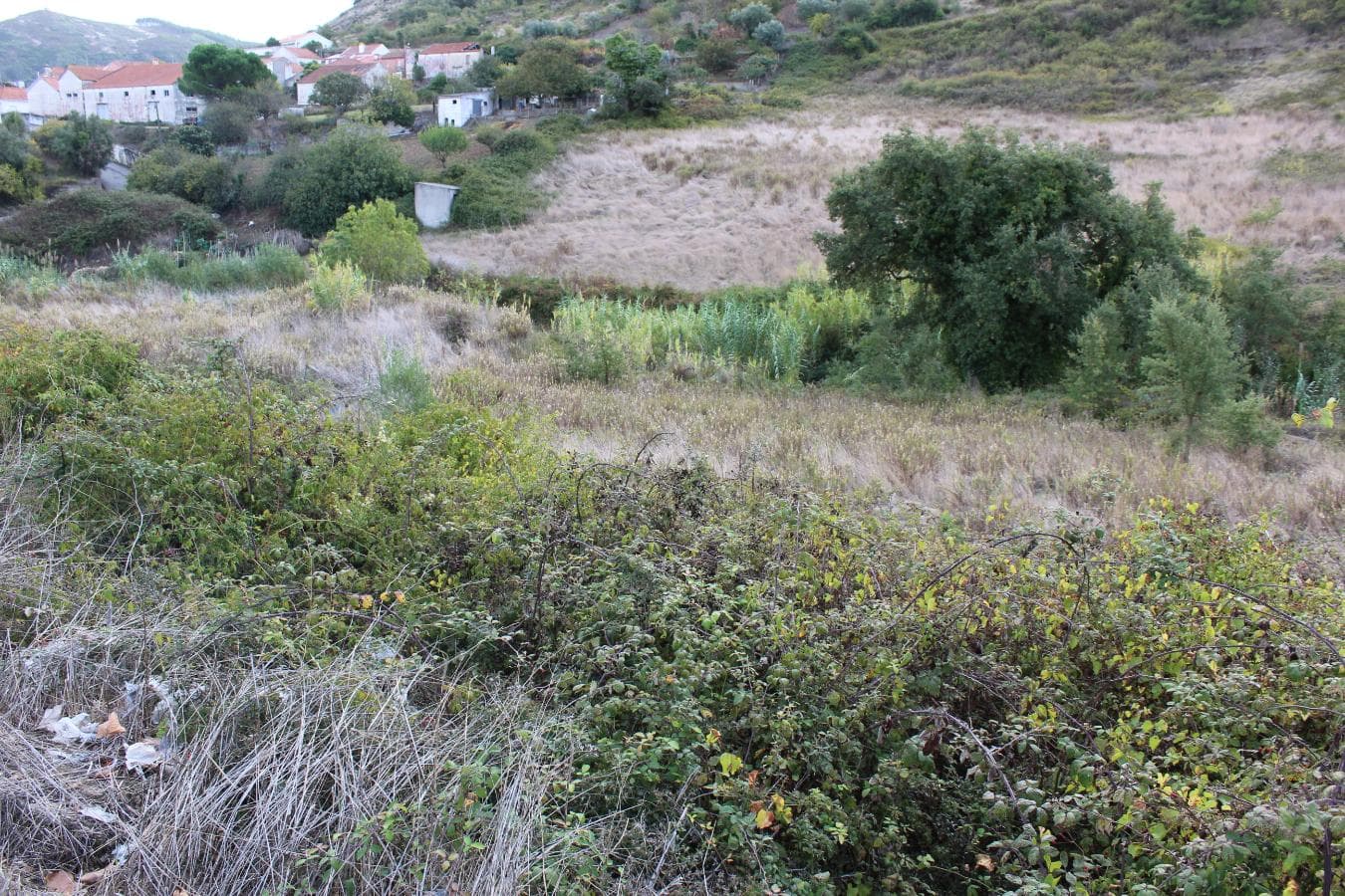 Terreno c/potencialidade construtiva · Sobral de Monte Agraço — imagem 7