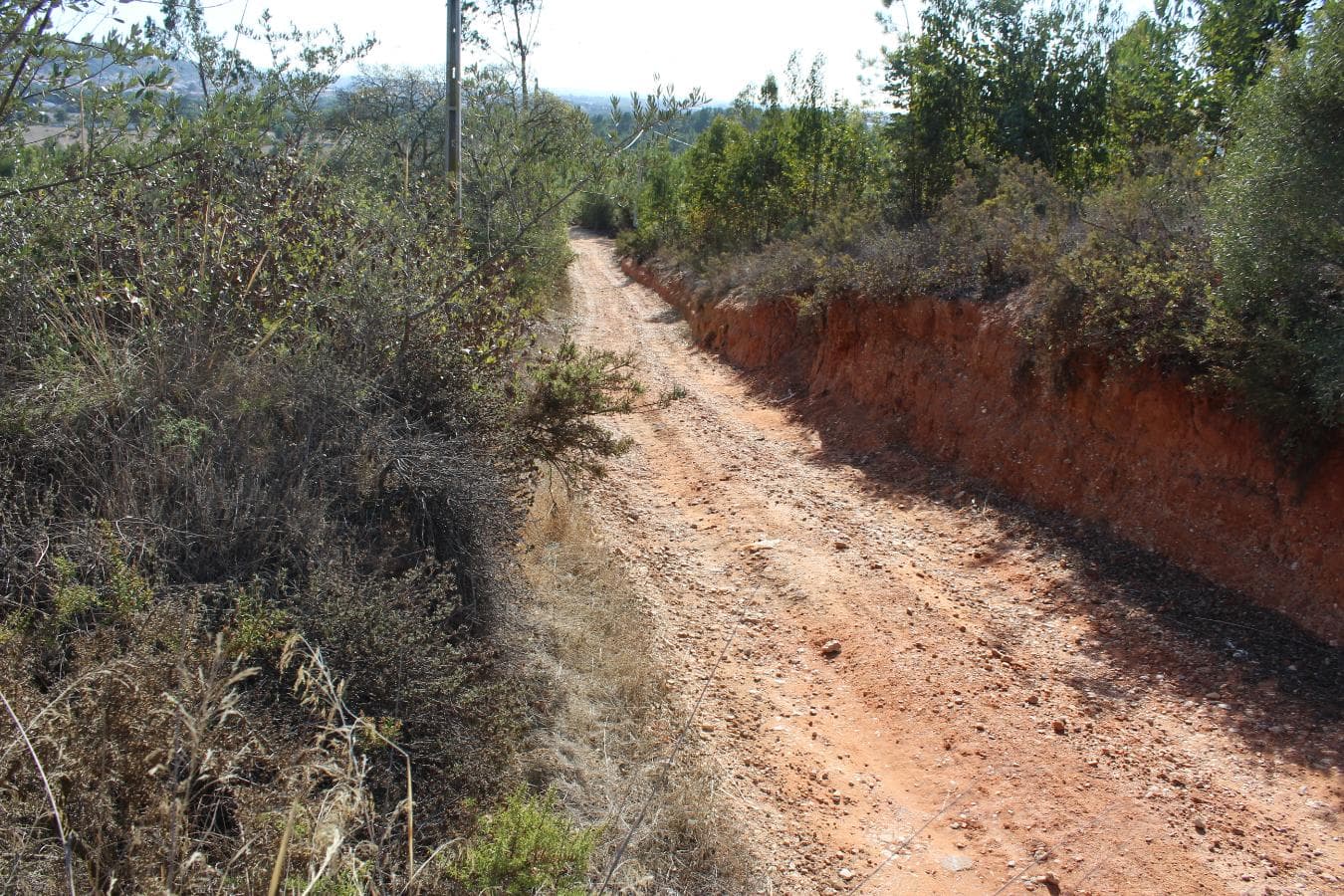Terreno · Palmela — imagem 8