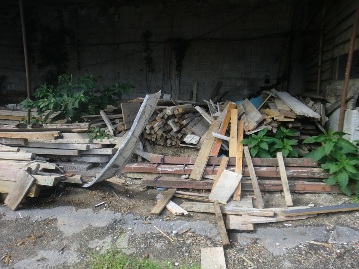 Multiserra + Lote de Madeira — image 10