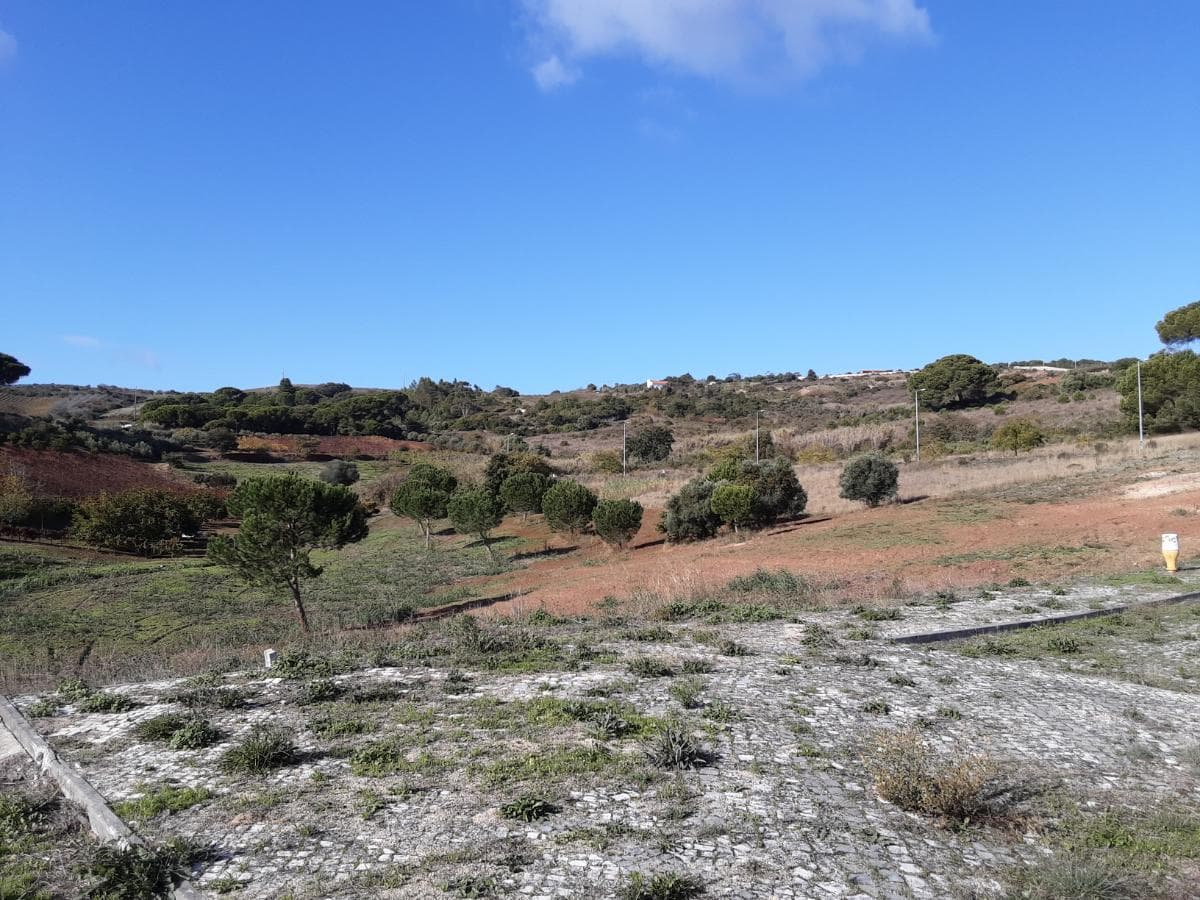Lote para Construção · Alenquer — image 3