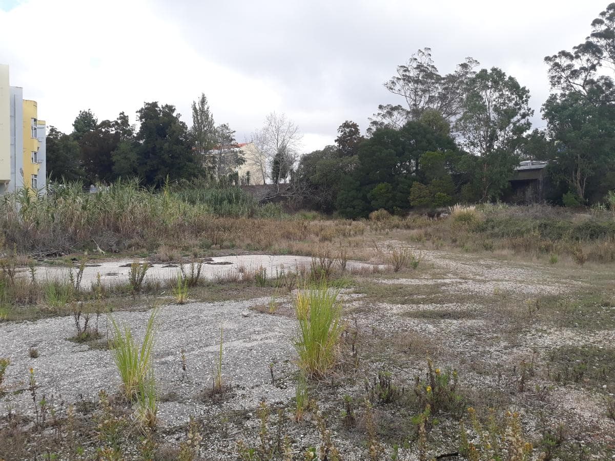 Lote para Construção · Mafra — imagem 3