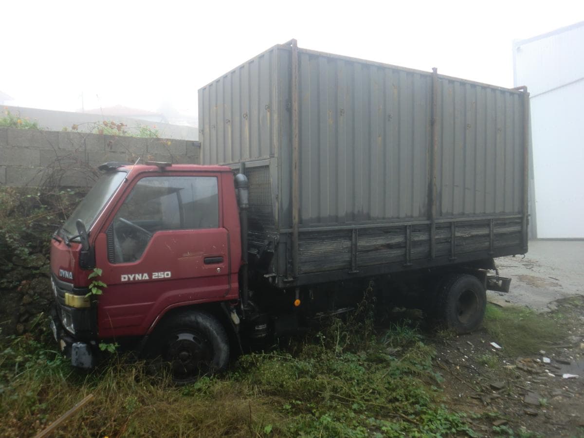 TOYOTA DYNA