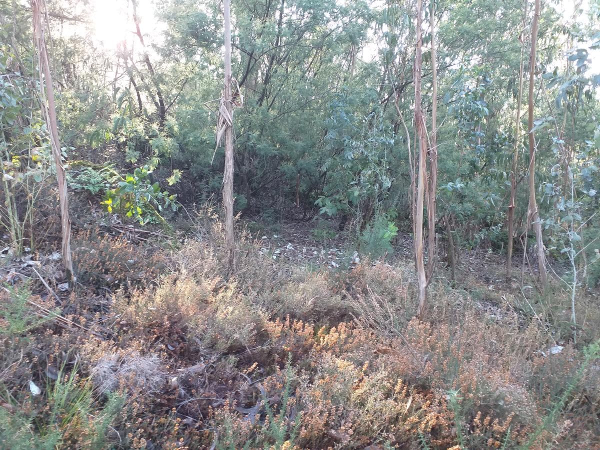 Terreno · Santo Tirso — imagen 2