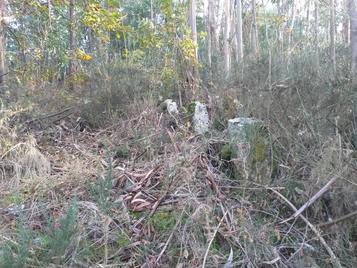 Terreno · Santo Tirso — imagen 3