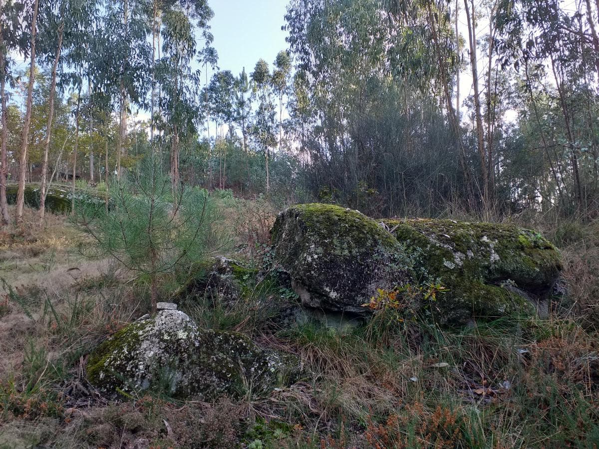Terreno · Santo Tirso — imagen 4