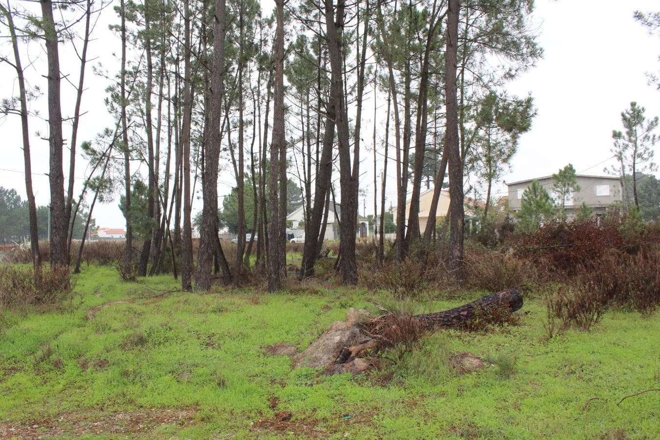 638/6085 Terreno · Sesimbra — imagen 2
