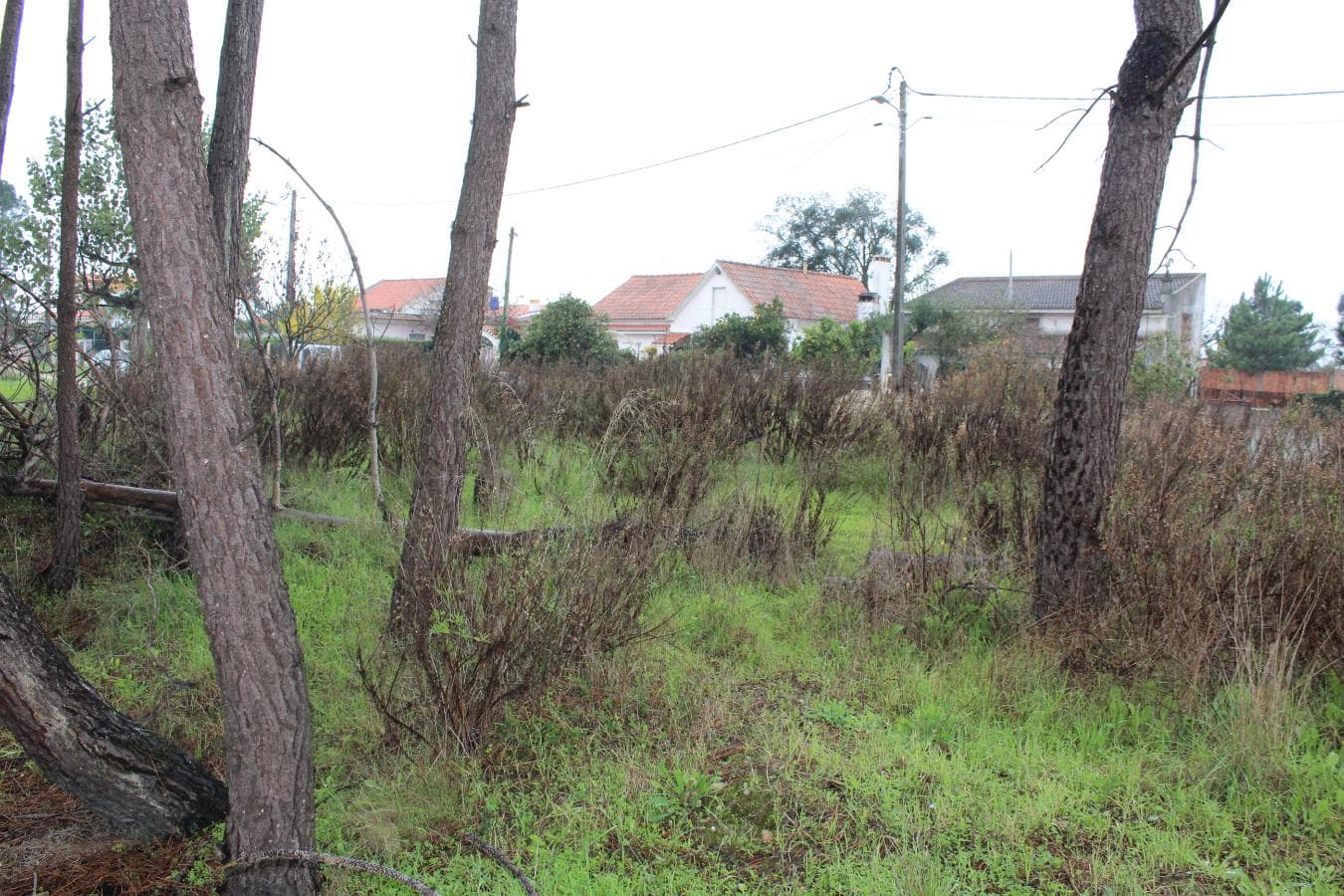 638/6085 Terreno · Sesimbra — imagen 3