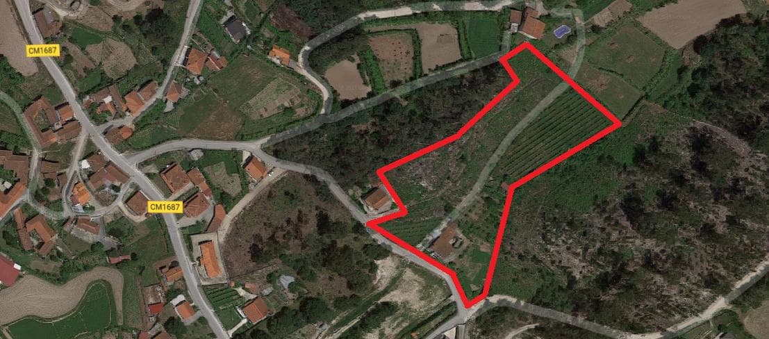 Moradia V5 + Terrenos · Fafe — imagem 30