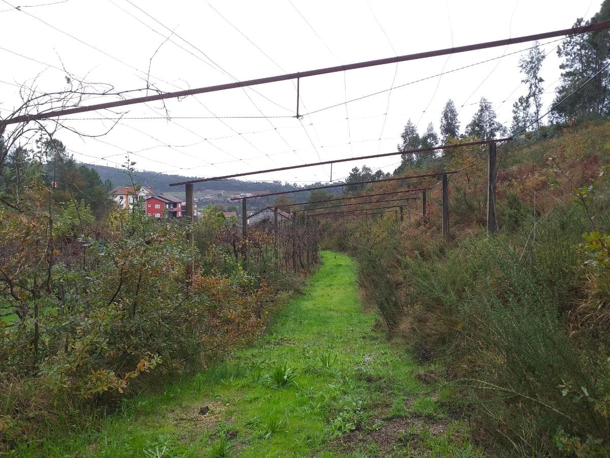 Moradia V5 + Terrenos · Fafe — imagem 5