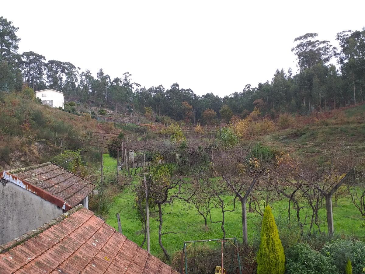 Moradia V5 + Terrenos · Fafe — imagem 8