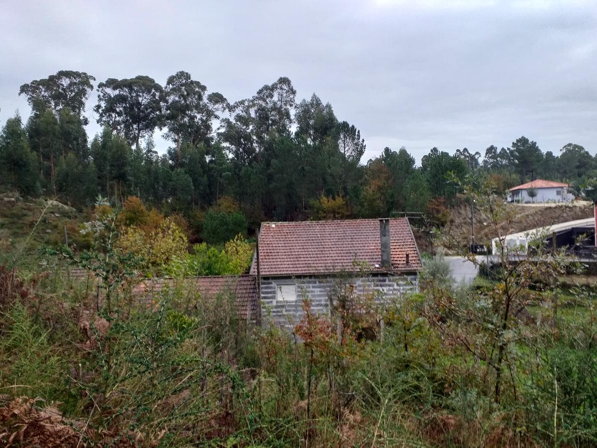 Moradia V5 + Terrenos · Fafe — imagem 17