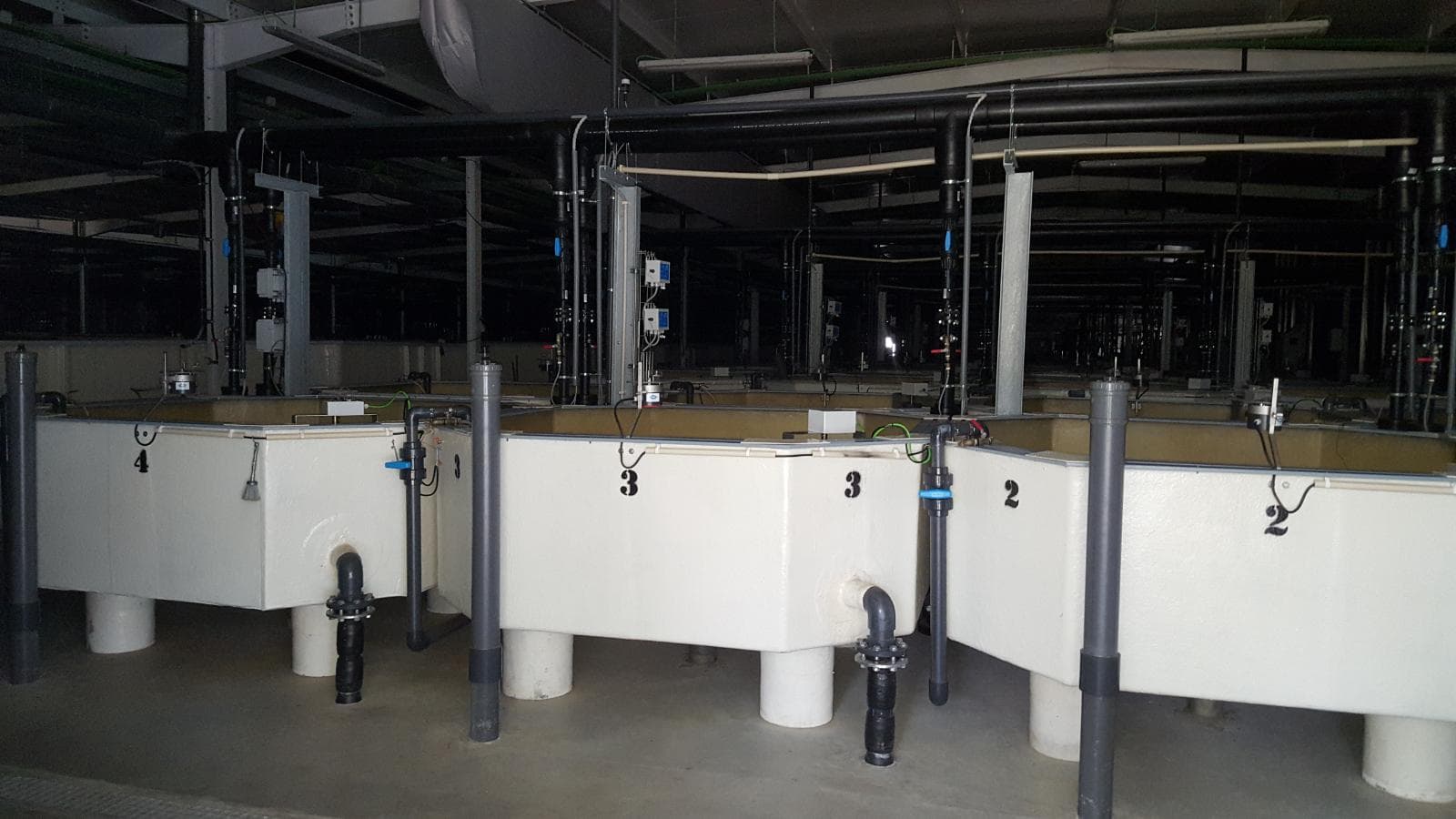 Unidade Industrial Completa – Setor aquacultura — imagem 1