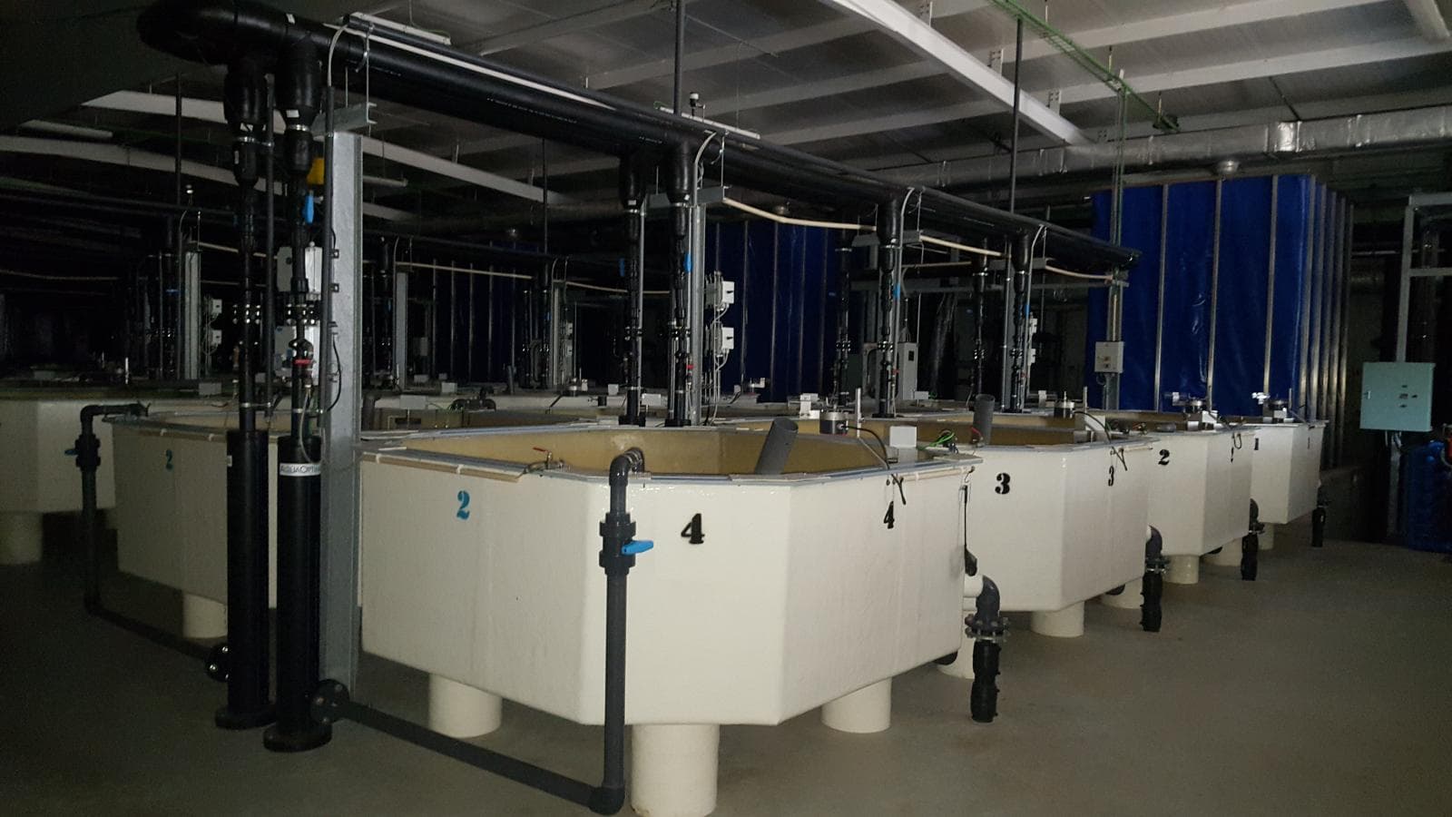 Unidade Industrial Completa – Setor aquacultura — imagem 2