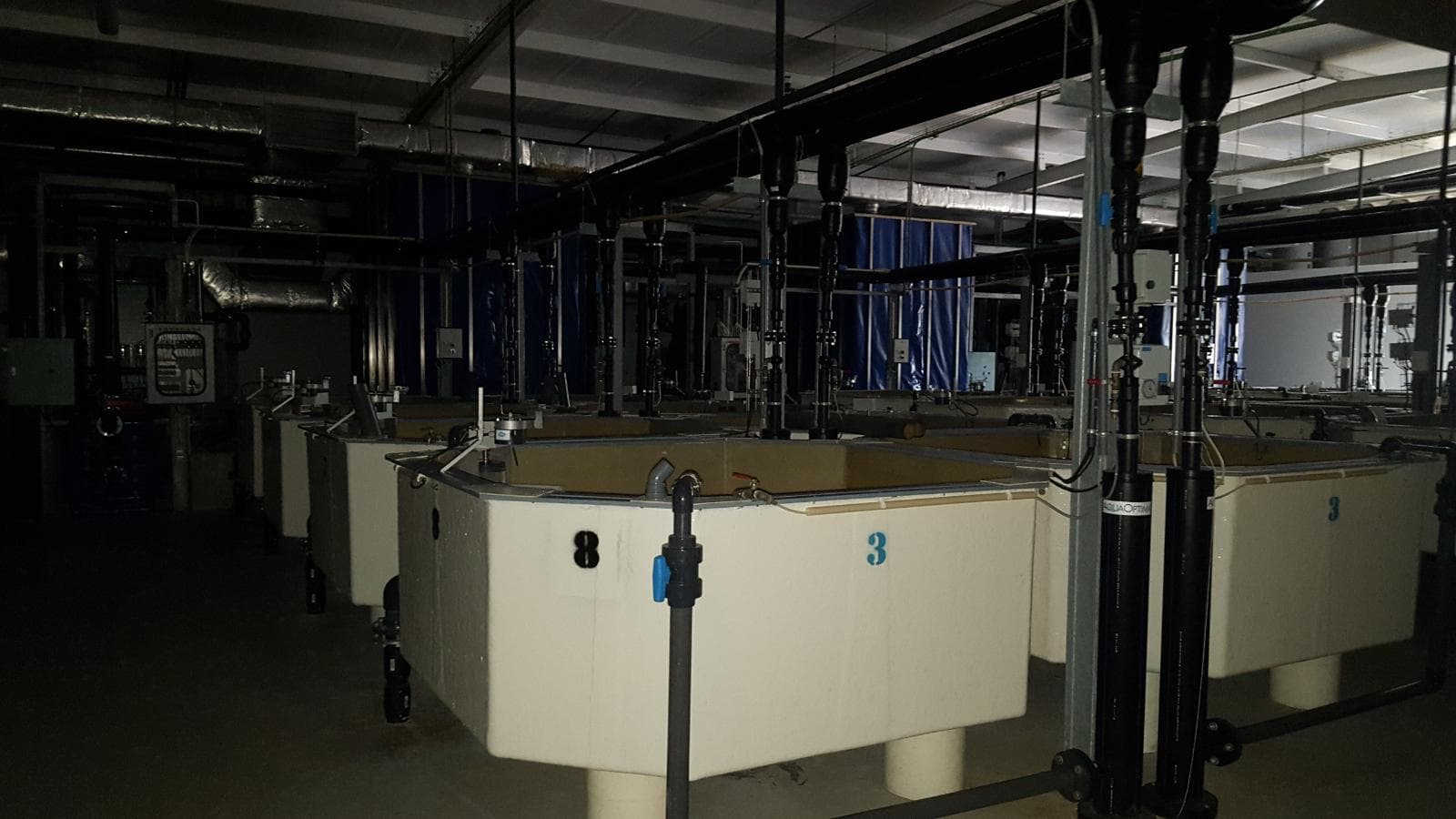 Unidade Industrial Completa – Setor aquacultura — imagem 3
