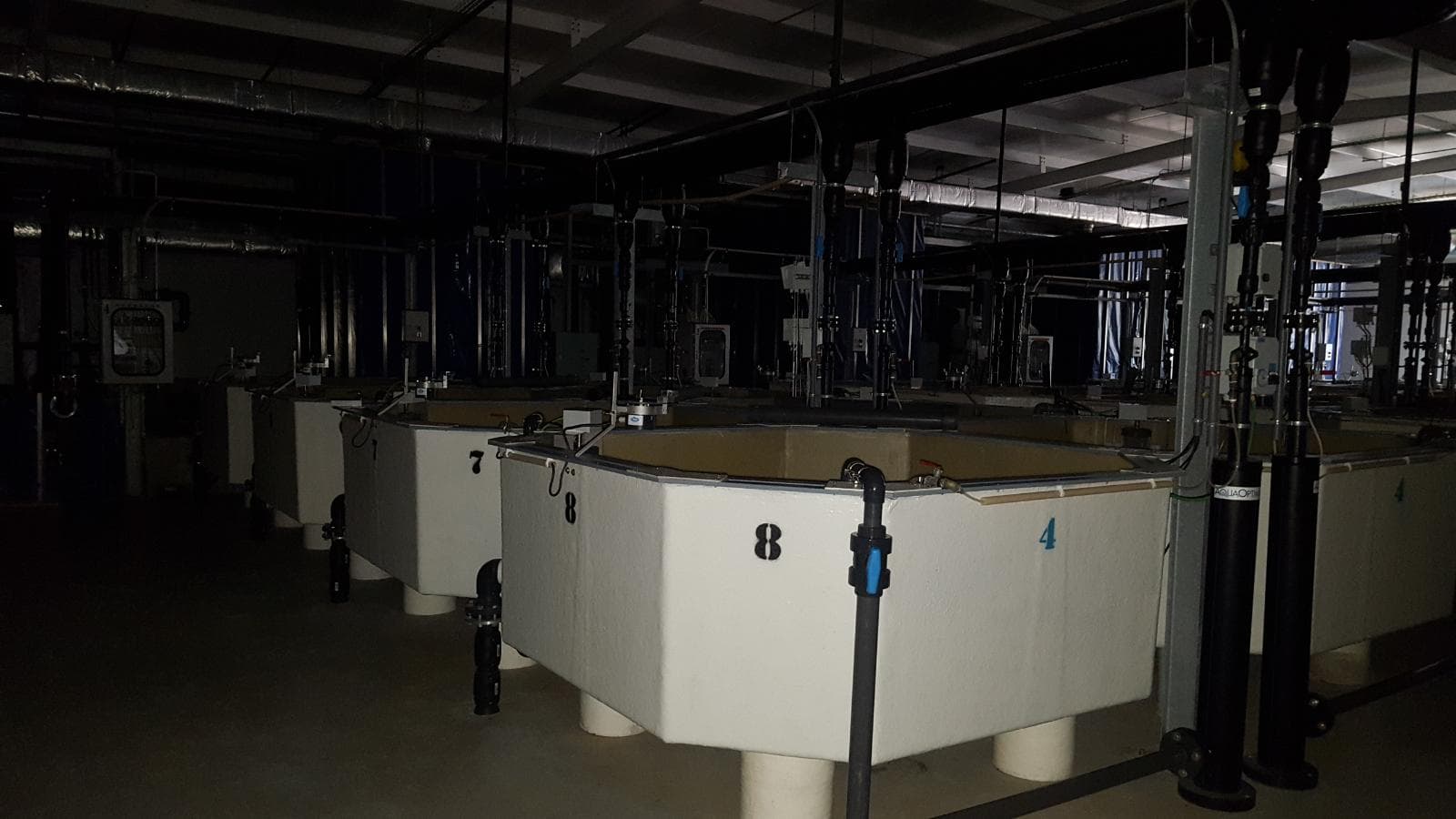 Unidade Industrial Completa – Setor aquacultura — imagem 4