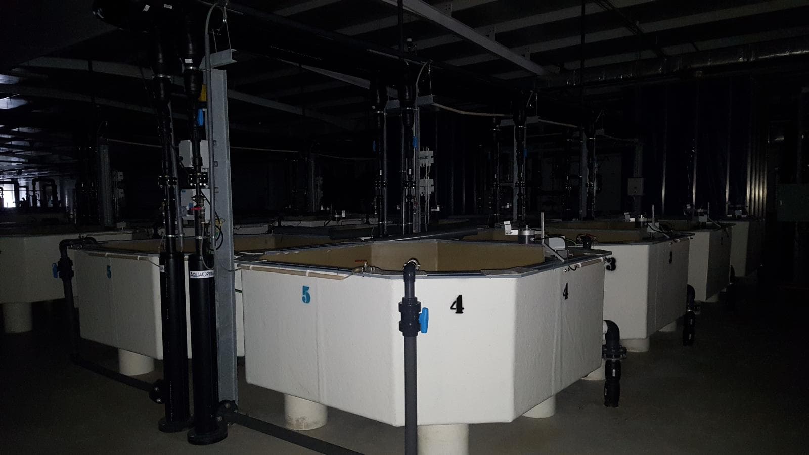 Unidade Industrial Completa – Setor aquacultura — imagem 5