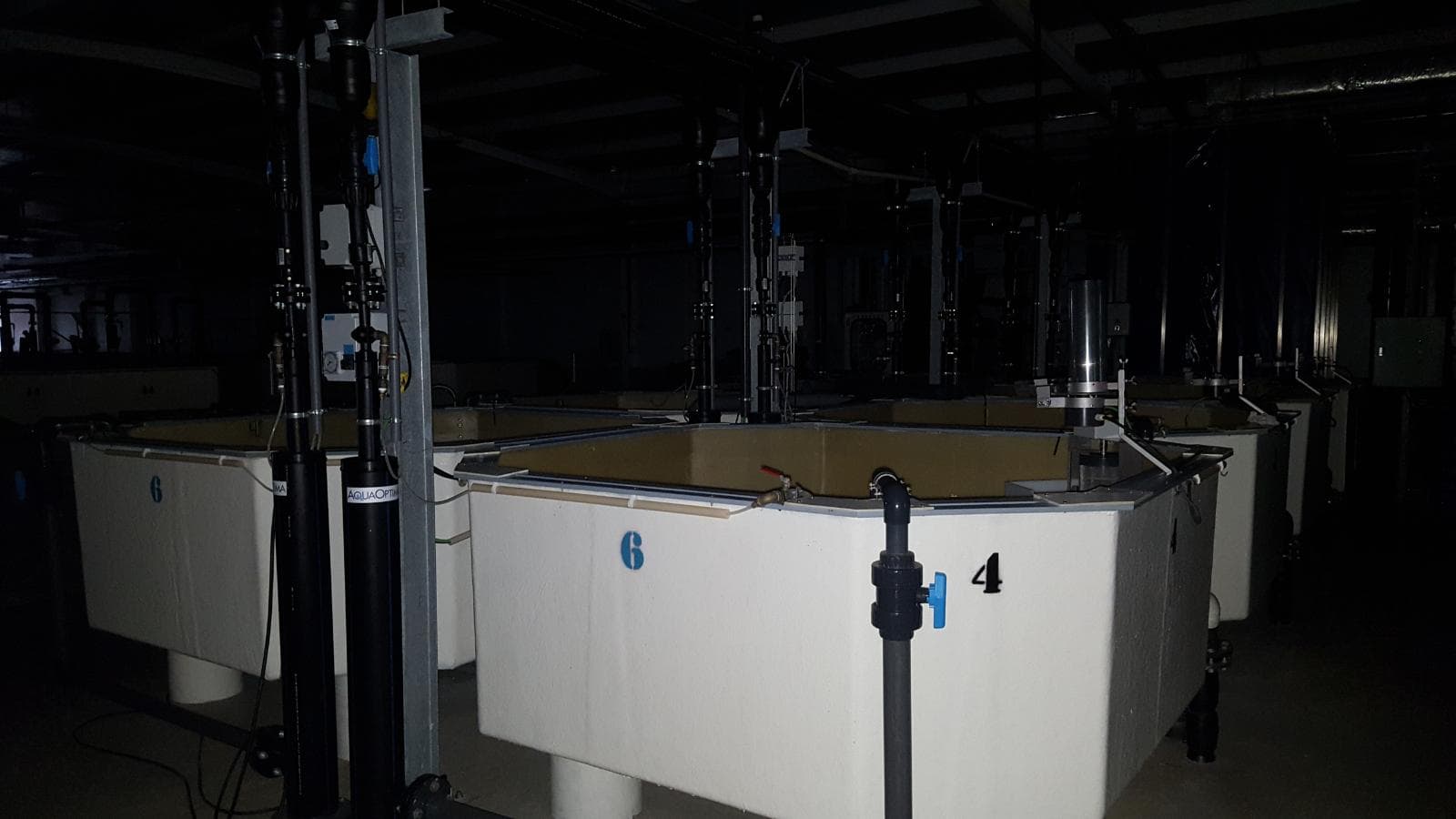 Unidade Industrial Completa – Setor aquacultura — imagem 6