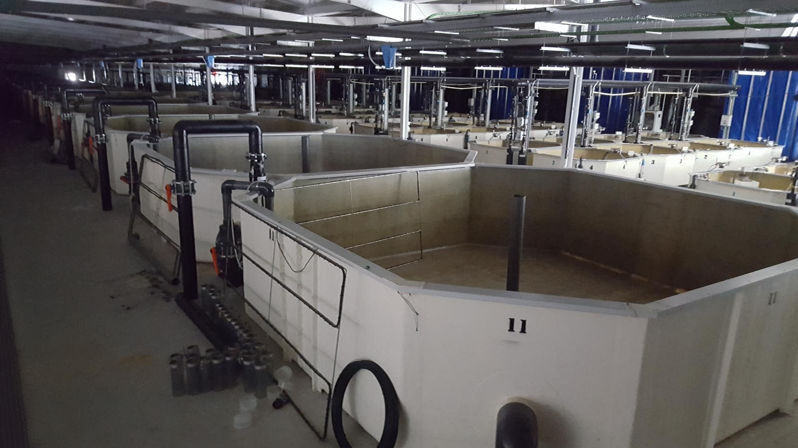 Unidade Industrial Completa – Setor aquacultura — imagem 10