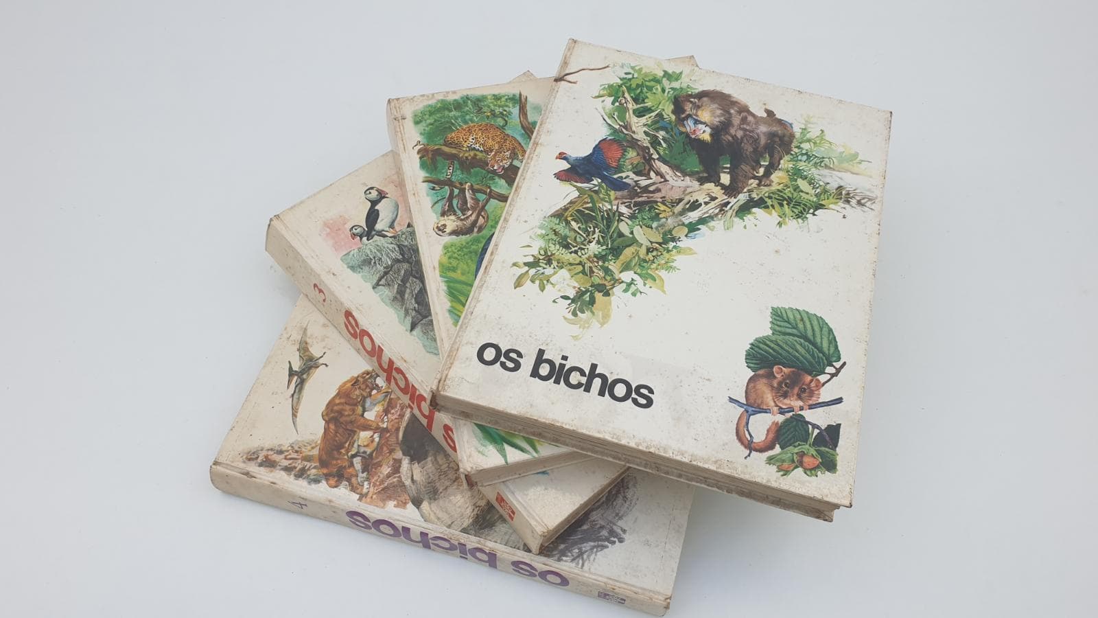 Coleção de 4 volumes com título “OS BICHOS”