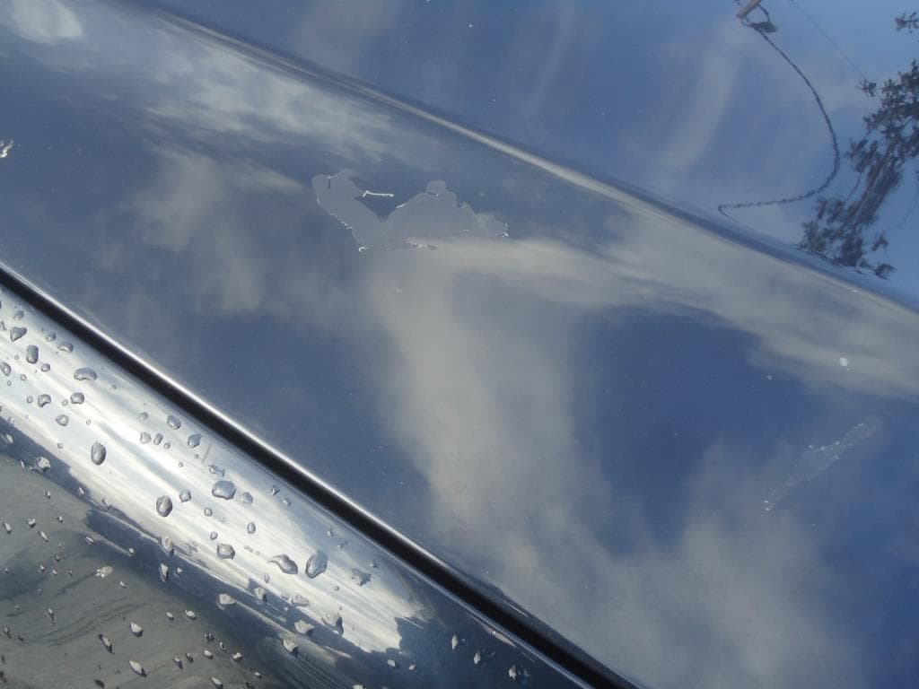 BMW 730 D — imagen 22