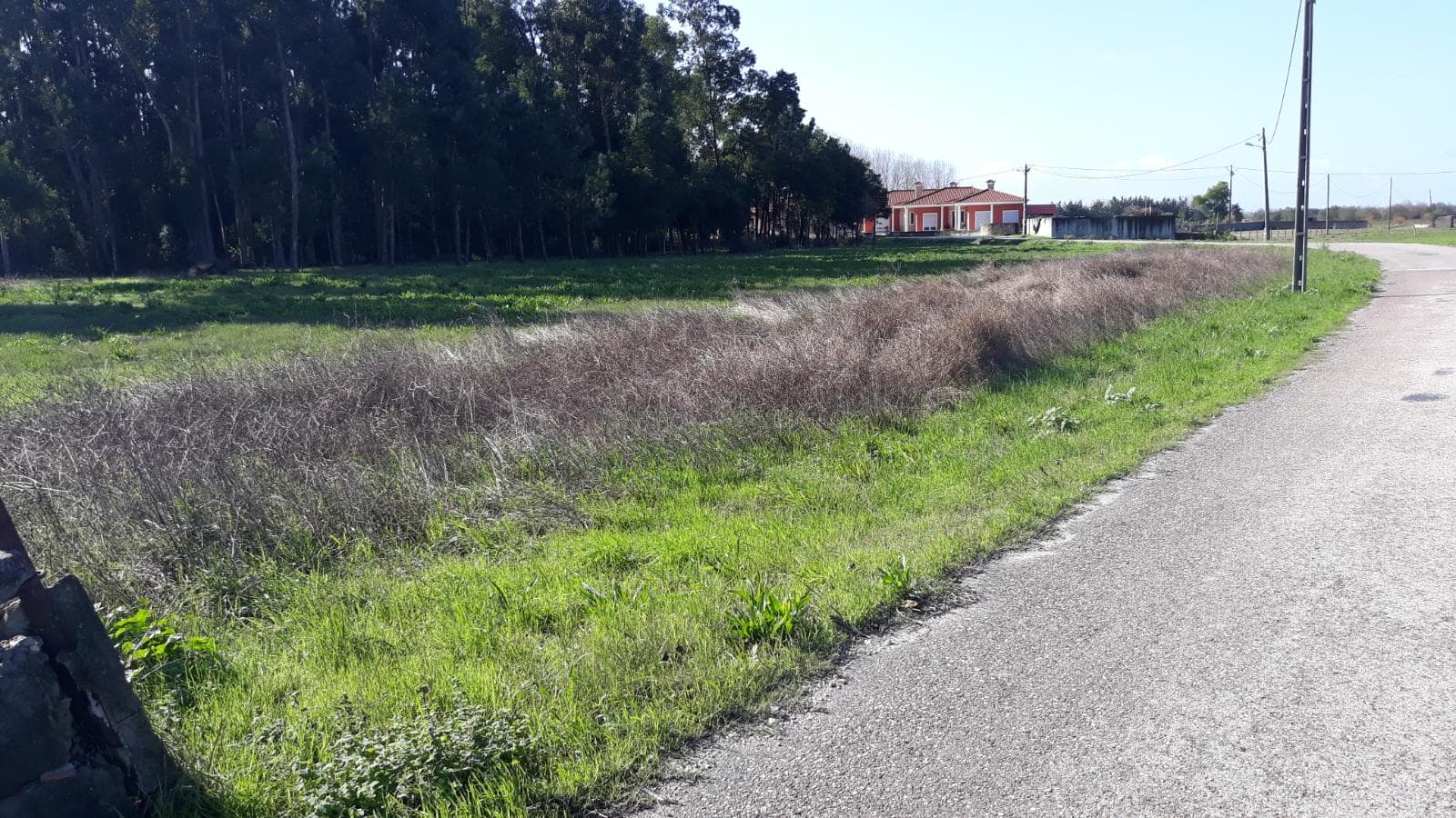 Terreno