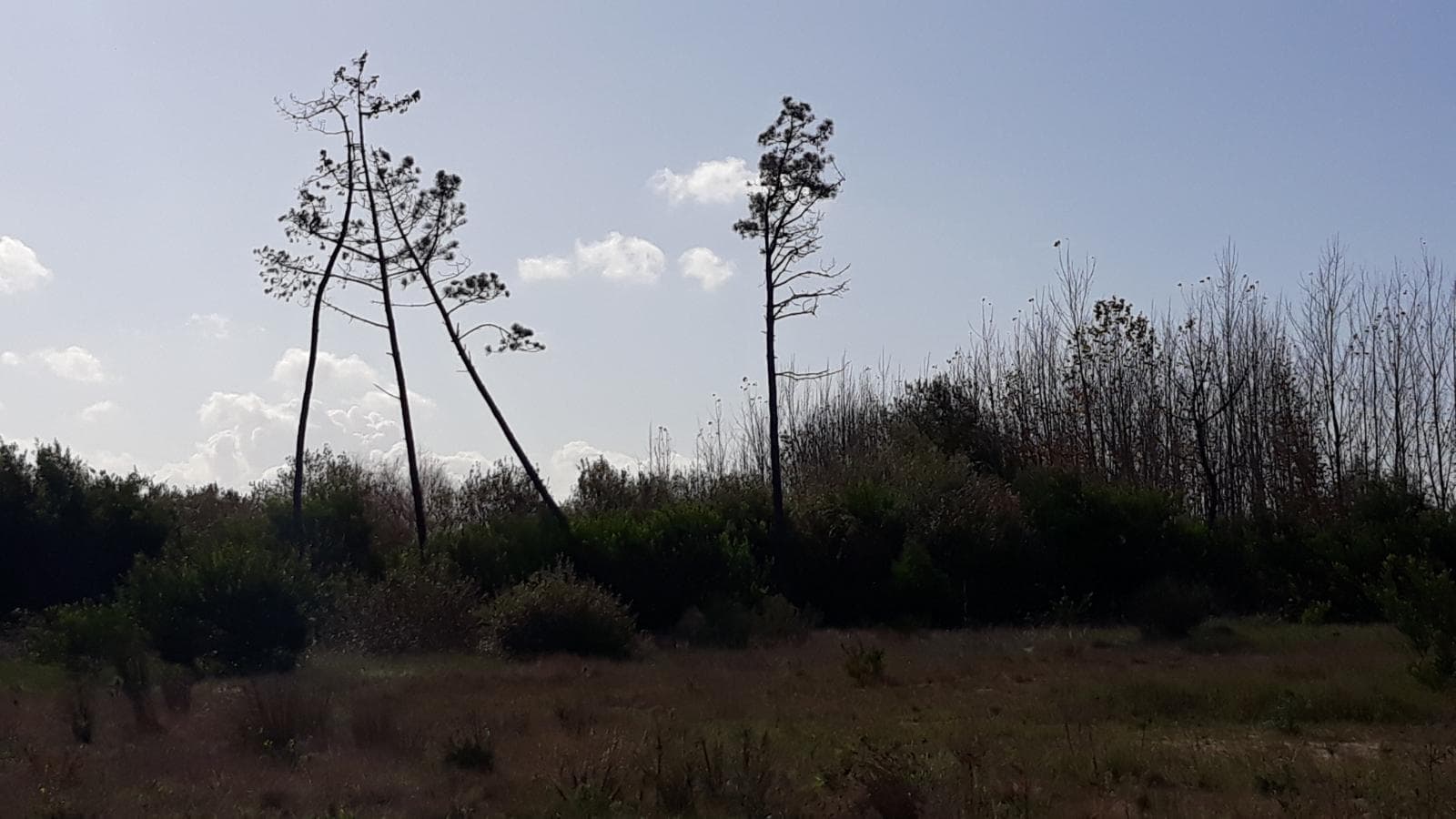 Terreno · Figueira da Foz — imagem 1