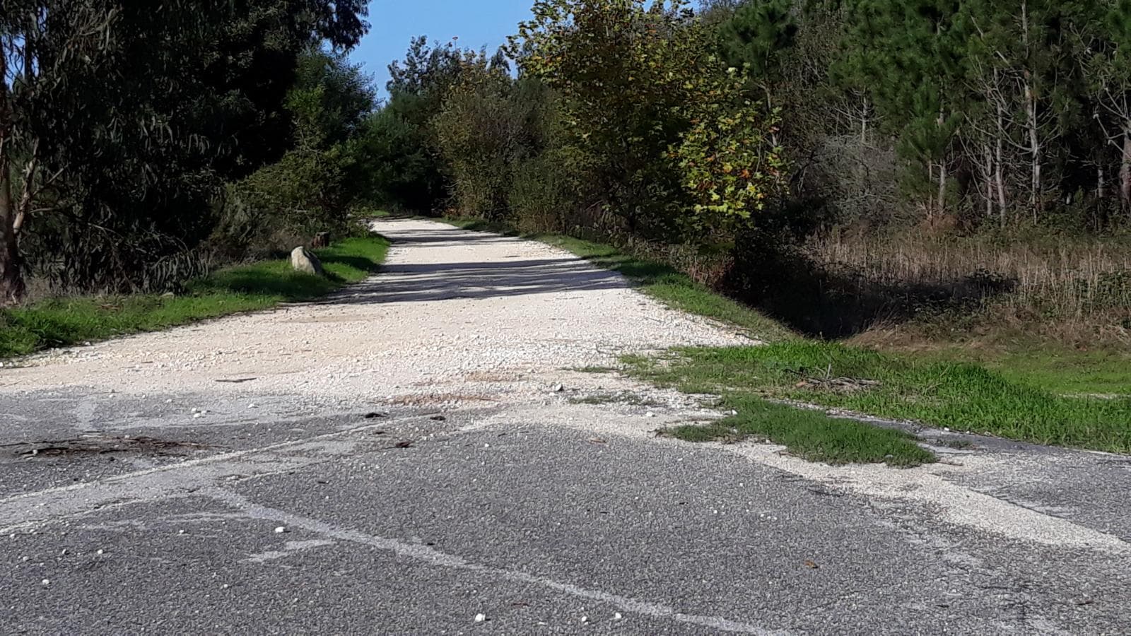 Terreno · Figueira da Foz — imagem 4
