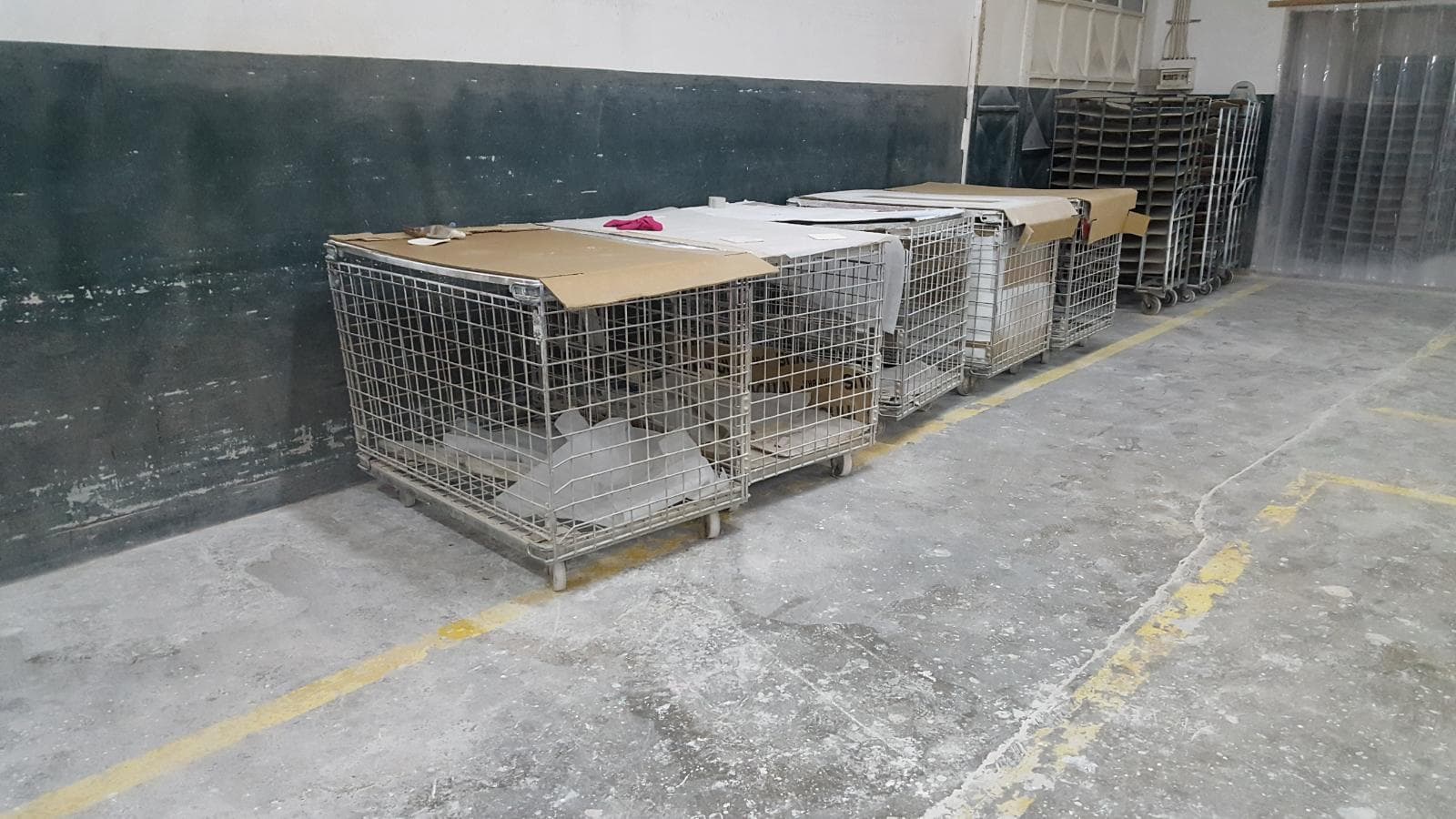 Linha de Transportes + Linha de Pintura — imagen 20