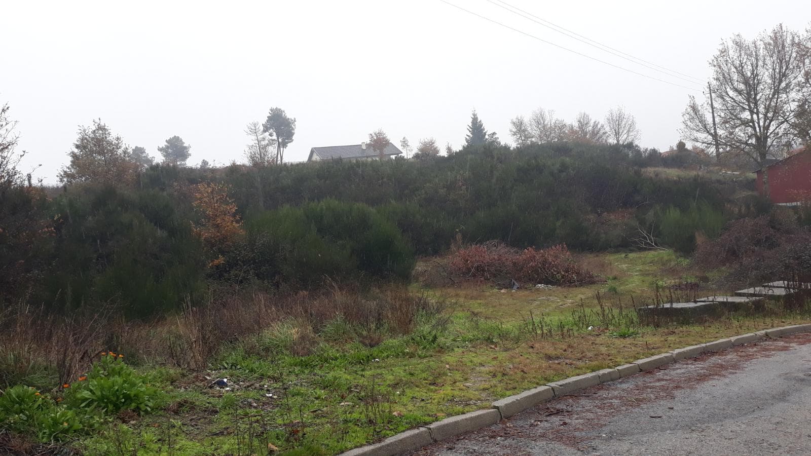 Lote para Construção · Viseu — image 1