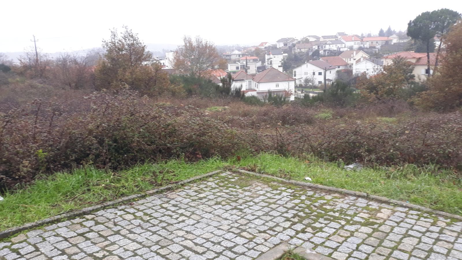 Lote para Construção · Viseu — image 2